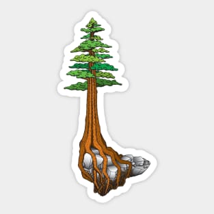 Giant Sequoia Sticker
